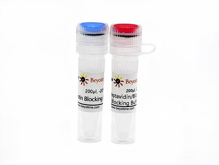 生物素检测封闭试剂盒